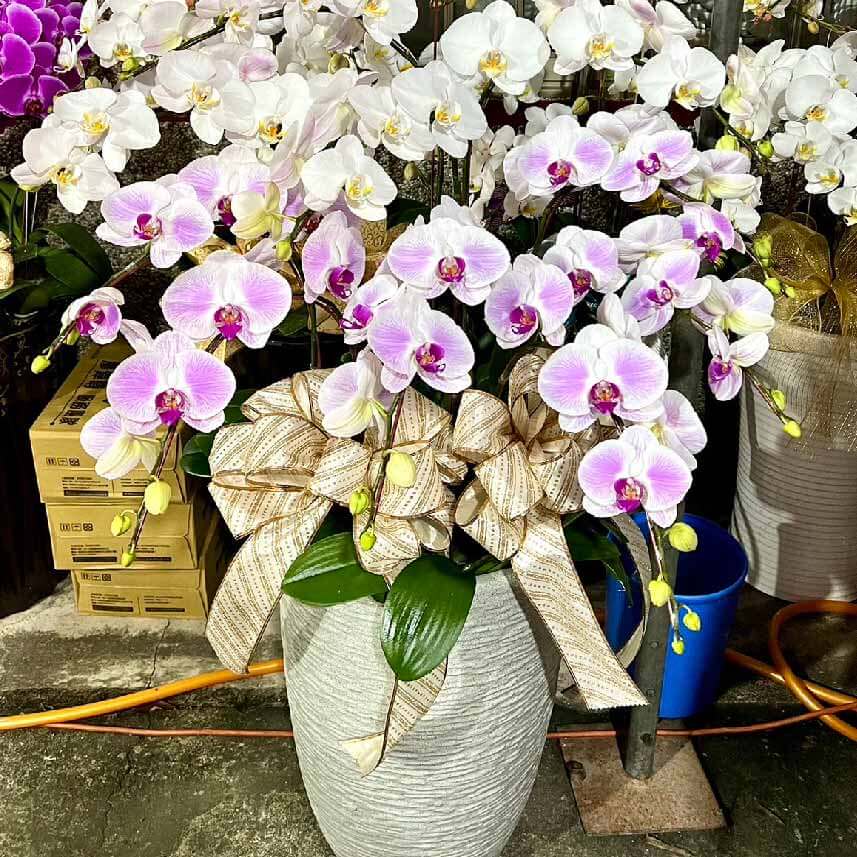 弔唁花盆-商品
