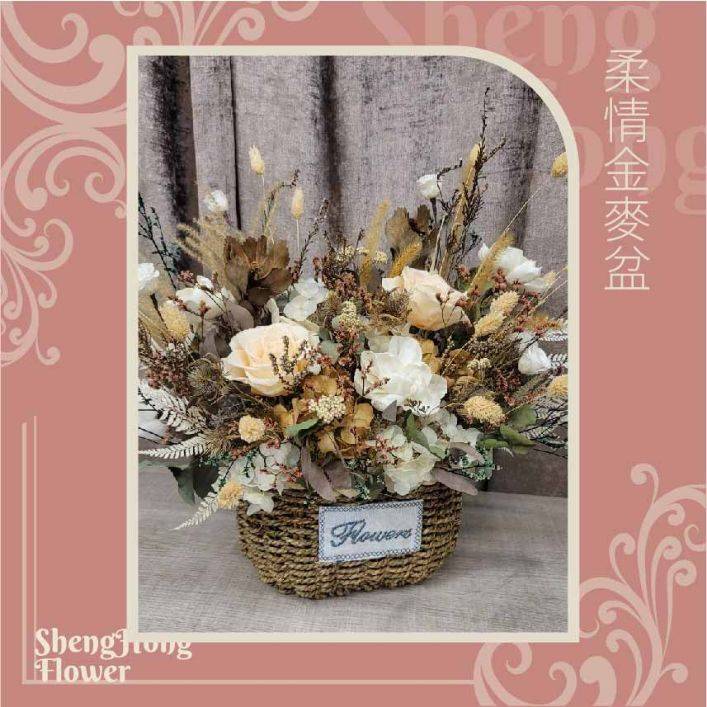 柔情金麥盆-主圖