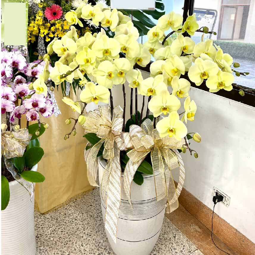 追思蘭花-商品