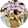 icon_哀悼花籃