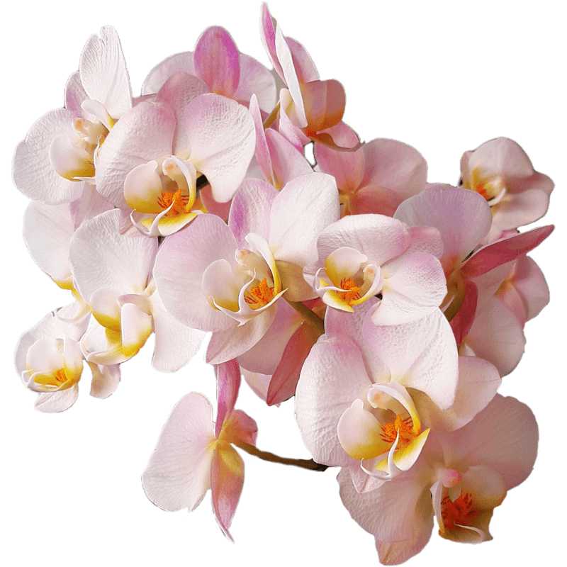 代客送花裝飾