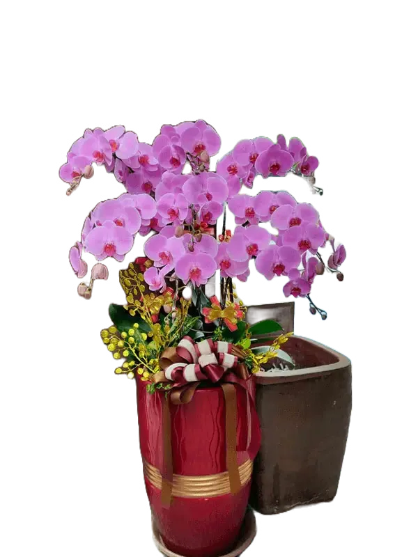 祝賀花籃D 去背