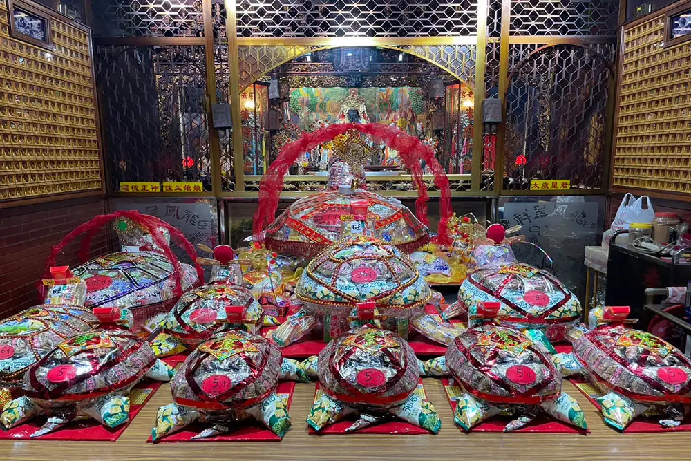祝壽烏龜實拍圖-06.webp