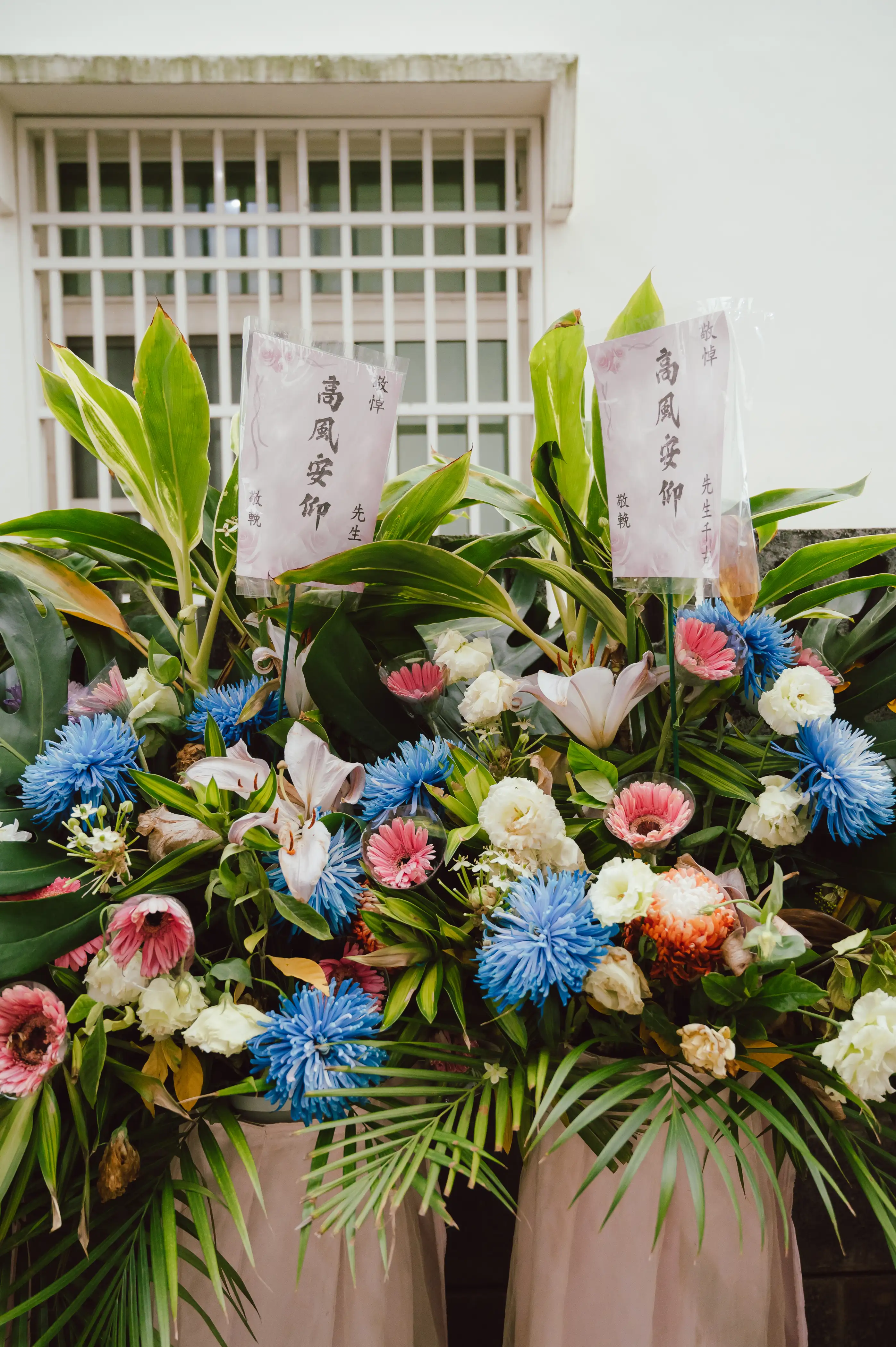 首頁