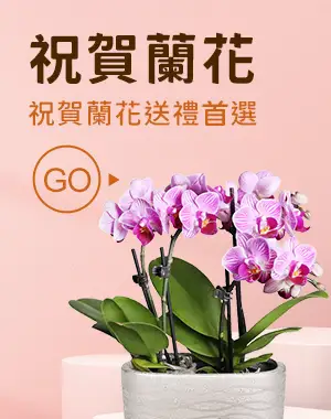 首頁