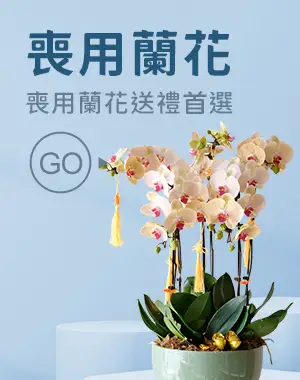 首頁