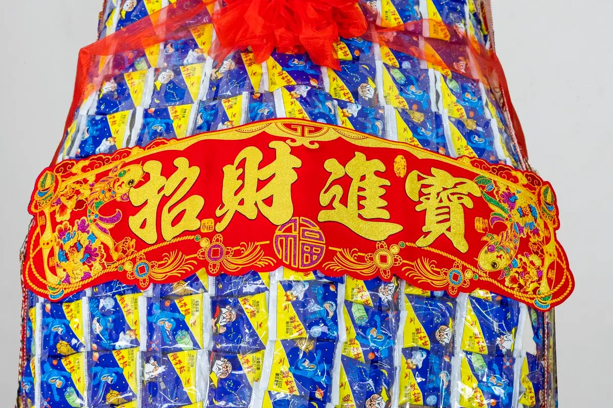 科學麵豬(大)-4 科學麵豬(大)-4