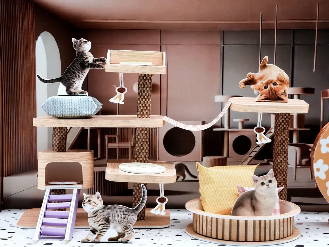 紙紮貓咪遊戲場-4 紙紮貓咪遊戲場-4