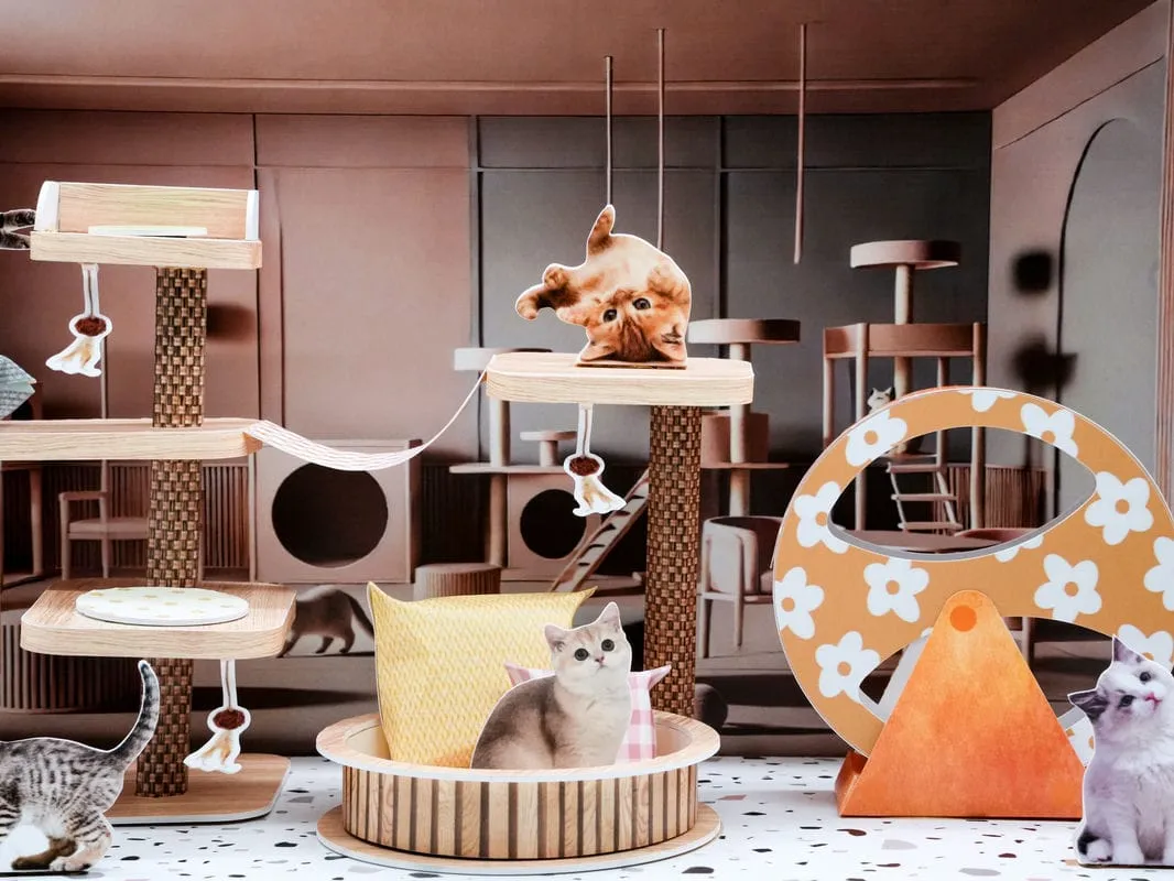 紙紮貓咪遊戲場-5 紙紮貓咪遊戲場-5