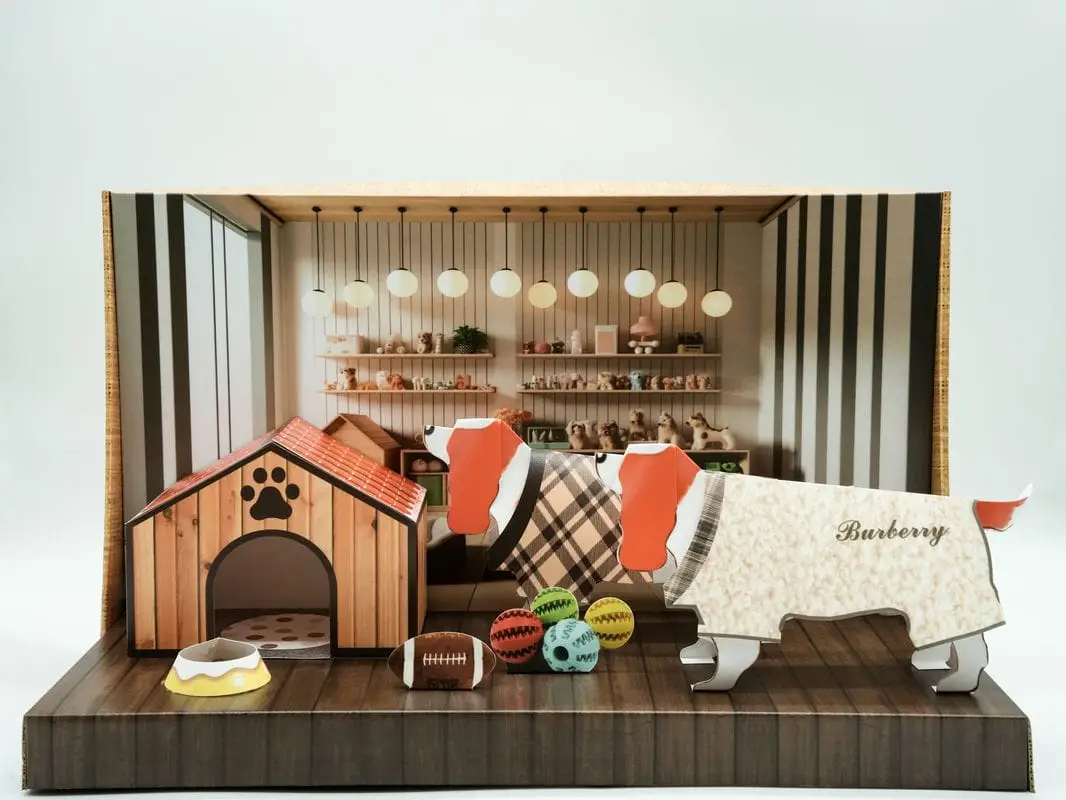 小獵犬狗狗衣服禮盒-1 小獵犬狗狗衣服禮盒-1