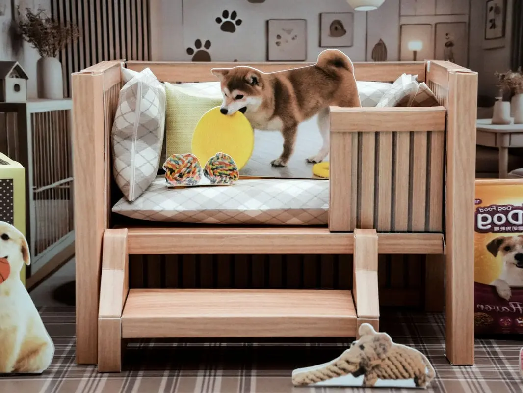 狗狗玩具禮盒-5 狗狗玩具禮盒-5