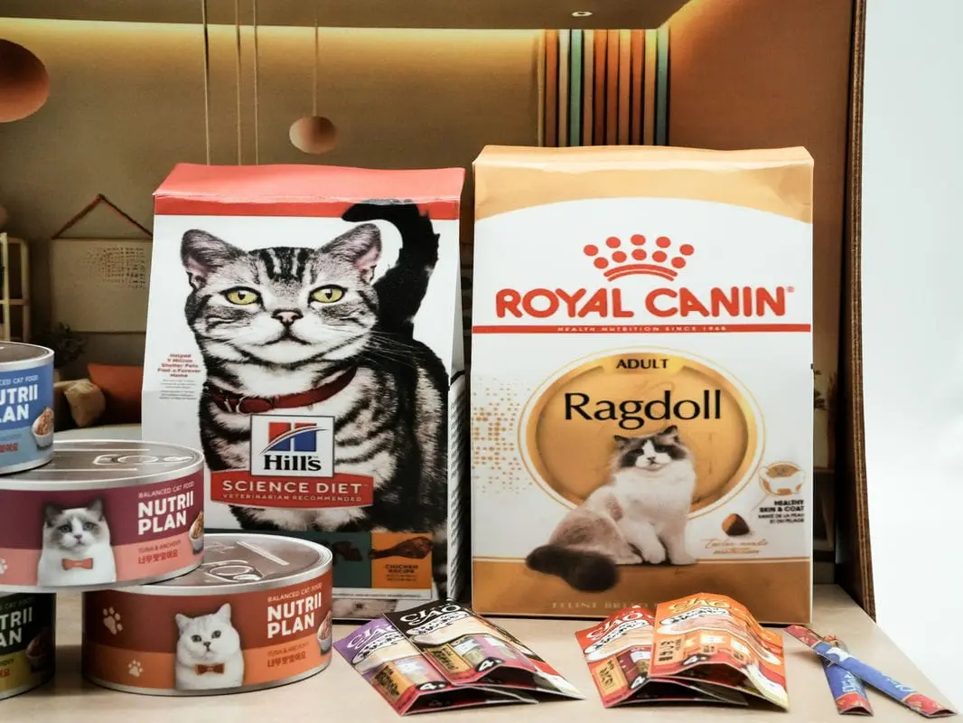 紙紮貓咪罐頭禮盒-5 紙紮貓咪罐頭禮盒-5