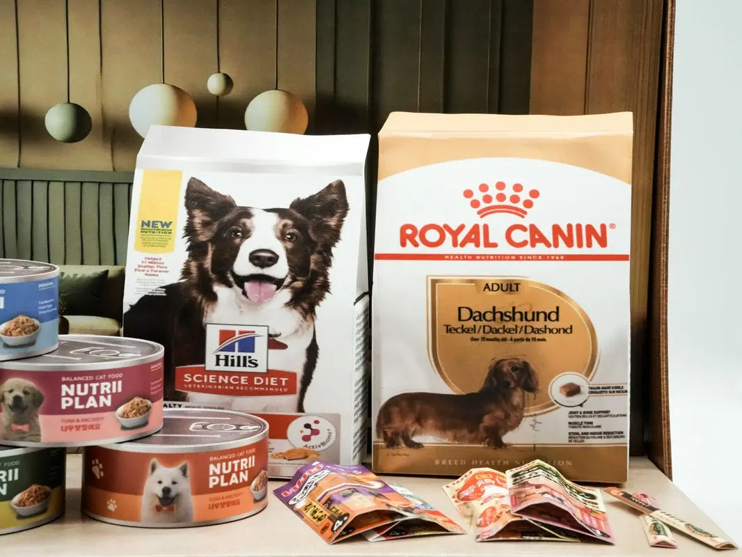 紙紮狗狗罐頭禮盒-5 紙紮狗狗罐頭禮盒-5