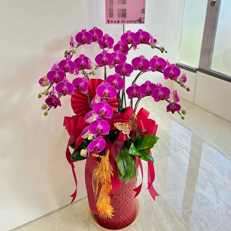 祝賀蘭花E