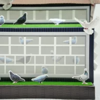 客製化紙紮鴿舍-5