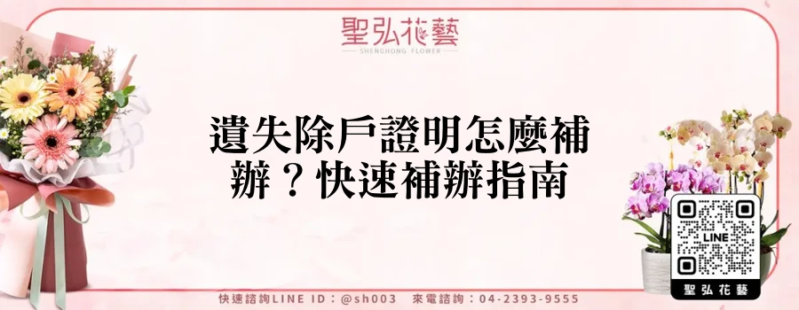 遺失除戶證明怎麼補辦？快速補辦指南