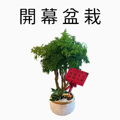 開幕盆栽商品分類圖_m.webp