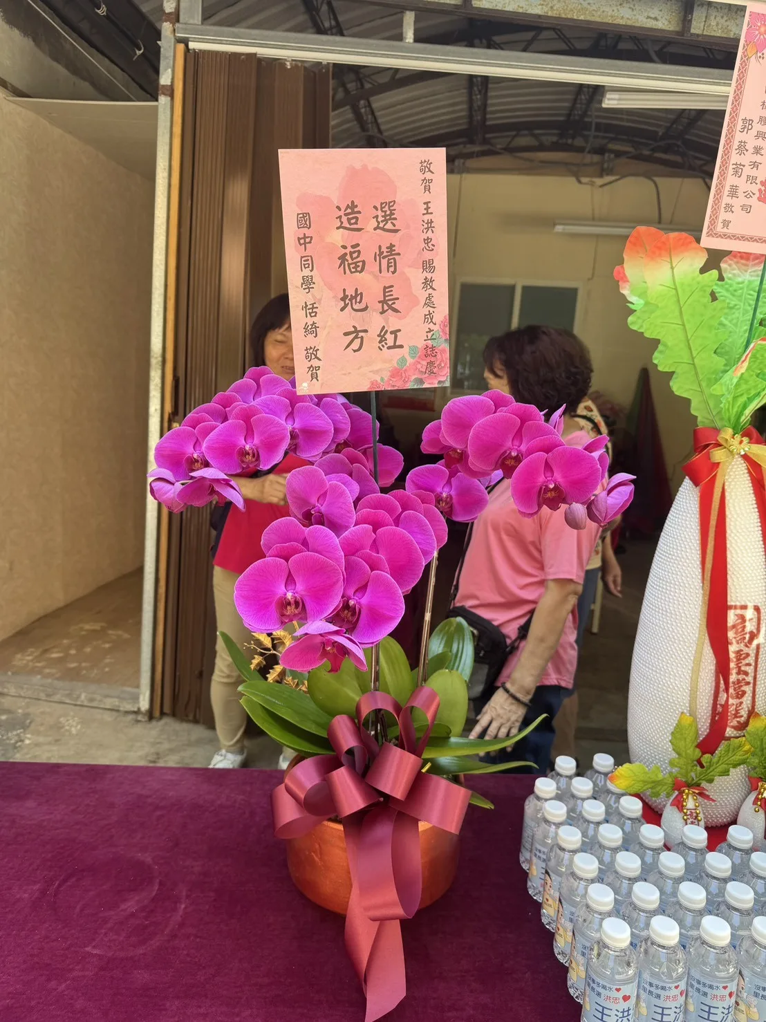 選舉服務處成立桌上型蘭花送達照,適合室內櫃檯或接待區參考