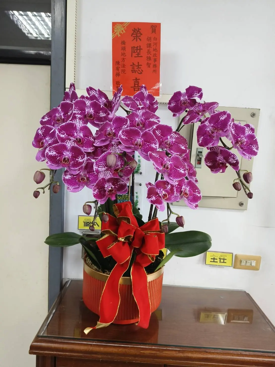 5株｜$2,500
