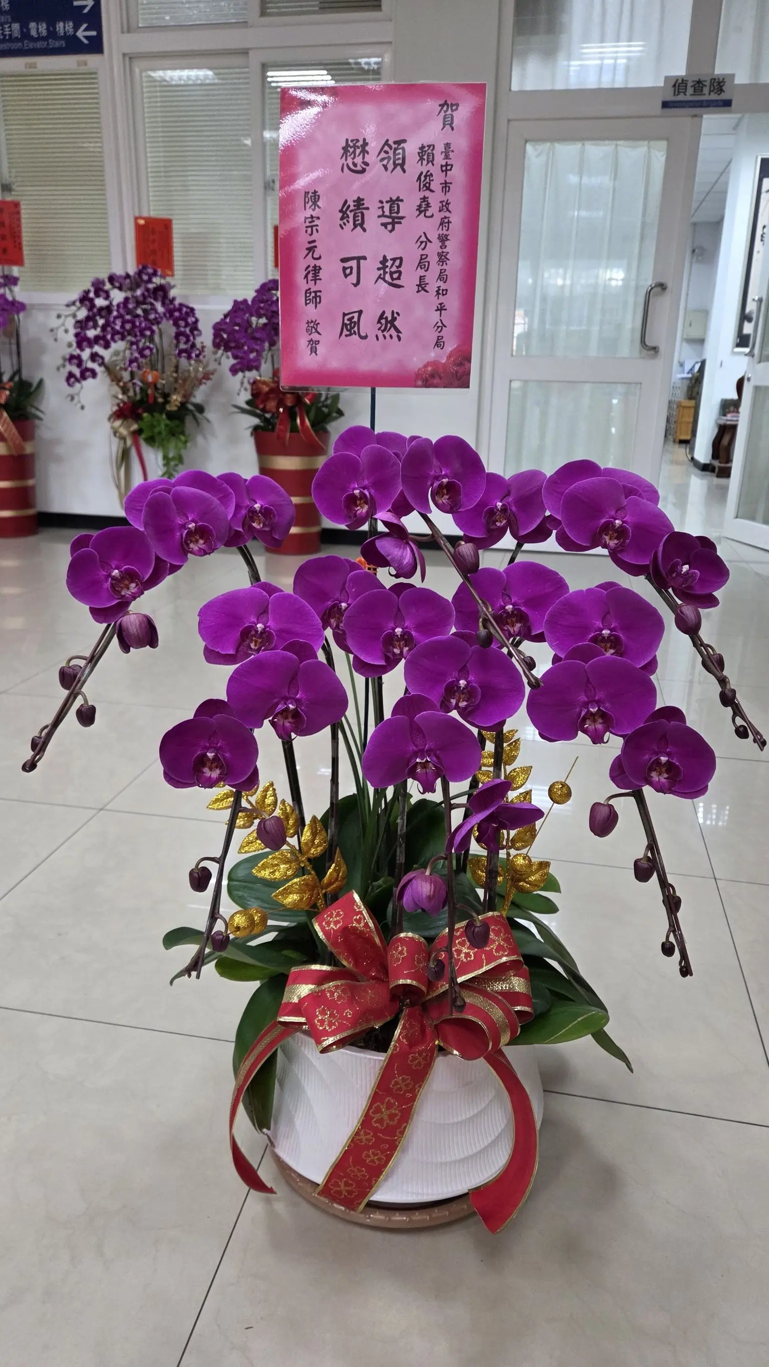 6株｜$3,000
